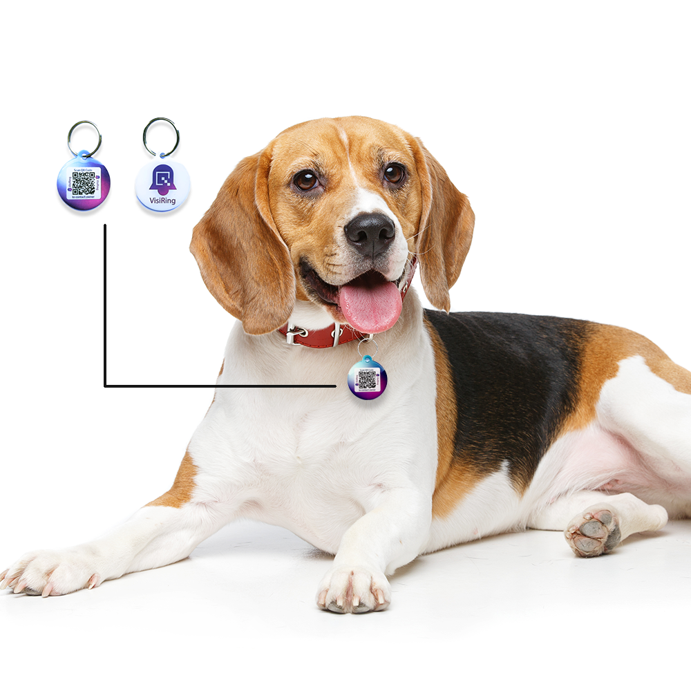 VisiRing Key Ring